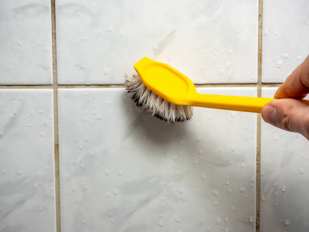 Best Certified Mold Removal  in Franklin, CA