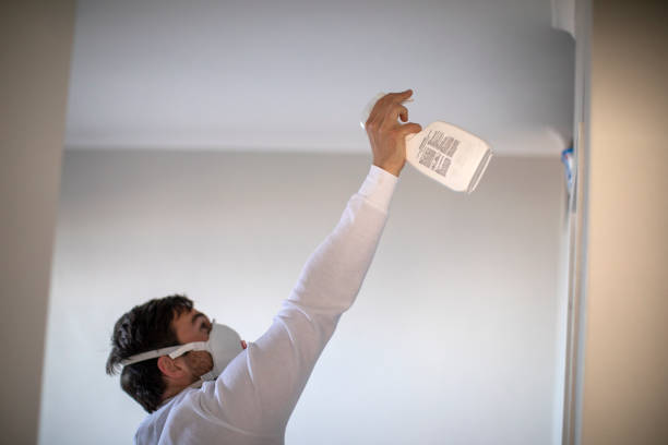 Best Residential Mold Removal  in Franklin, CA