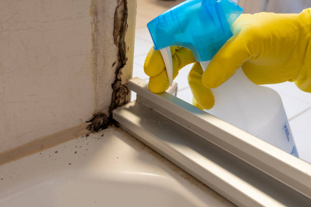  Franklin, CA Mold Removal Pros