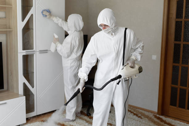 Best Toxic Mold Removal  in Franklin, CA