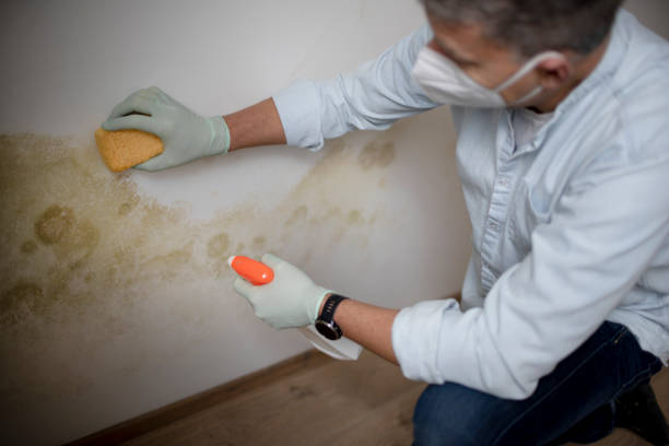 Water Damage Restoration in Franklin, CA
