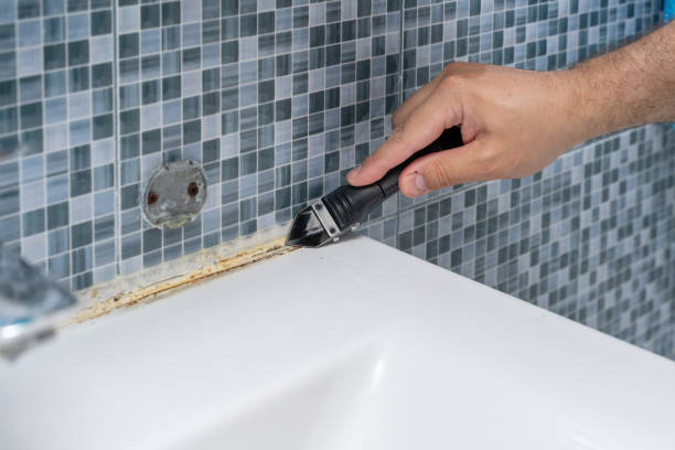 Best Black Mold Removal  in Franklin, CA